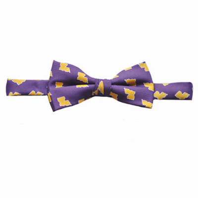 Louisiana Baton Rouge Gameday Youth Bow Tie Purple