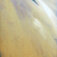 Downloaded from Shopify for use with Vendor ID (34) and Product ID (3856982933574).