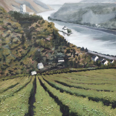 "Wine Country #11" Desat