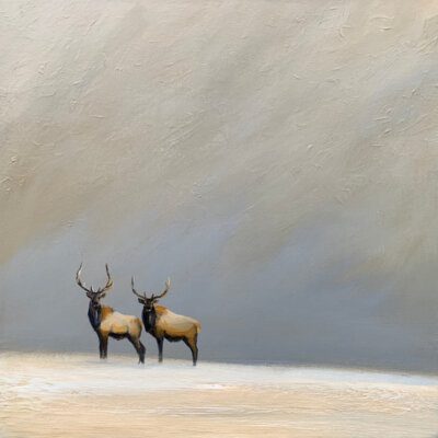 "Elk Together in the Wild" series #2