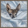 Downloaded from Shopify for use with Vendor ID (34) and Product ID (4758379823170).