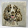 Downloaded from Shopify for use with Vendor ID (34) and Product ID (4758379823170).