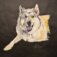 Downloaded from Shopify for use with Vendor ID (34) and Product ID (4758379823170).