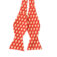 Downloaded from Shopify for use with Vendor ID (30) and Product ID (132646055).