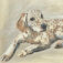 Downloaded from Shopify for use with Vendor ID (34) and Product ID (4758379823170).
