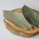Downloaded from Shopify for use with Vendor ID (15) and Product ID (7550258708730).