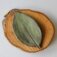 Downloaded from Shopify for use with Vendor ID (15) and Product ID (7550258708730).