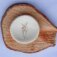 Downloaded from Shopify for use with Vendor ID (15) and Product ID (7924405567738).