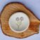 Downloaded from Shopify for use with Vendor ID (15) and Product ID (7924405567738).