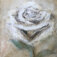 Downloaded from Shopify for use with Vendor ID (34) and Product ID (1578440294470).