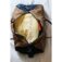 Downloaded from Shopify for use with Vendor ID (30) and Product ID (1610517512281).