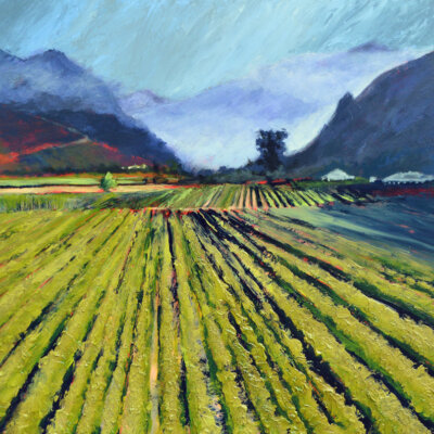 "Wine Country #16"