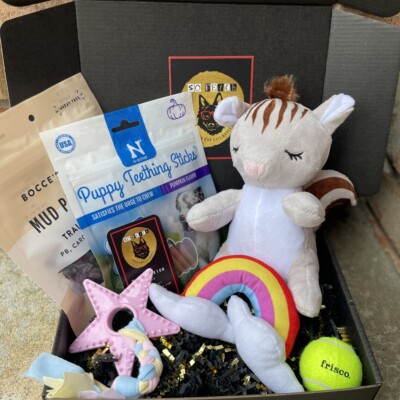 Welcome Home Puppy Box