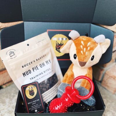 Mini Welcome Home Puppy Box