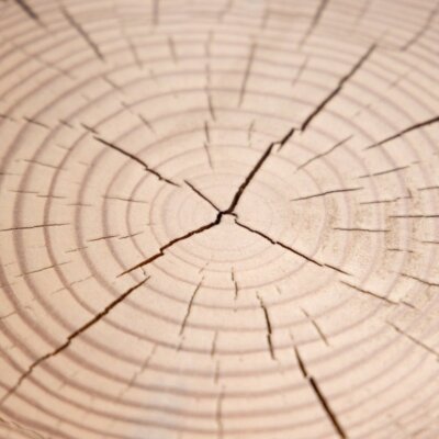 Downloaded from Shopify for use with Vendor ID (87) and Product ID (7525252366585). Downloaded from Shopify for use with Vendor ID (87) and Product ID (7525252366585).
