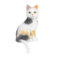 Downloaded from Shopify for use with Vendor ID (163) and Product ID (6719485902926).