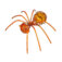 Downloaded from Shopify for use with Vendor ID (163) and Product ID (6774777118798).