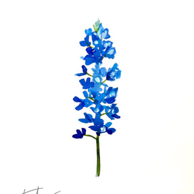 Downloaded from Shopify for use with Vendor ID (34) and Product ID (6962911871042). Downloaded from Shopify for use with Vendor ID (34) and Product ID (6962911871042).