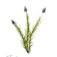 Downloaded from Shopify for use with Vendor ID (34) and Product ID (6962912591938).