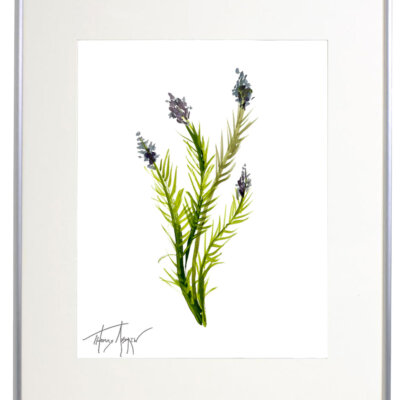 Wild Flower on Paper #4595