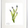 Downloaded from Shopify for use with Vendor ID (34) and Product ID (6962912952386).