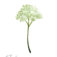 Downloaded from Shopify for use with Vendor ID (34) and Product ID (6962913050690).