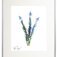 Downloaded from Shopify for use with Vendor ID (34) and Product ID (6962913116226).