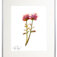 Downloaded from Shopify for use with Vendor ID (34) and Product ID (6962913214530).