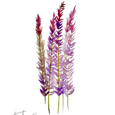 Downloaded from Shopify for use with Vendor ID (34) and Product ID (6963784679490). Downloaded from Shopify for use with Vendor ID (34) and Product ID (6963784679490).