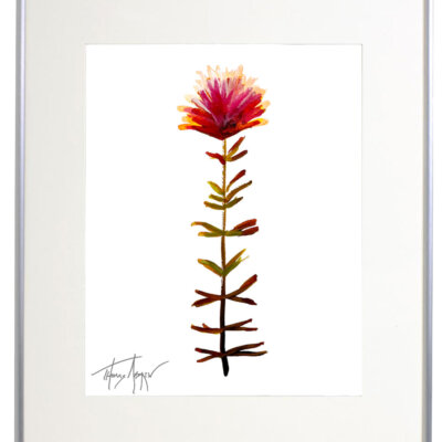 Wild Flower on Paper #4613