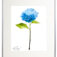 Downloaded from Shopify for use with Vendor ID (34) and Product ID (6963785138242).