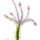 Downloaded from Shopify for use with Vendor ID (34) and Product ID (6963785236546).