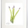 Downloaded from Shopify for use with Vendor ID (34) and Product ID (6963785760834).