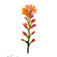 Downloaded from Shopify for use with Vendor ID (34) and Product ID (6963785924674).