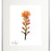 Downloaded from Shopify for use with Vendor ID (34) and Product ID (6963785924674).