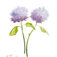 Downloaded from Shopify for use with Vendor ID (34) and Product ID (6963785957442).