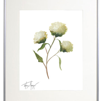 Wild Flower on Paper #9264