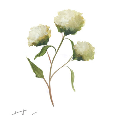 Downloaded from Shopify for use with Vendor ID (34) and Product ID (6963786121282). Downloaded from Shopify for use with Vendor ID (34) and Product ID (6963786121282).