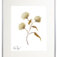 Downloaded from Shopify for use with Vendor ID (34) and Product ID (6963786645570).