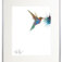 Downloaded from Shopify for use with Vendor ID (34) and Product ID (6964289470530).