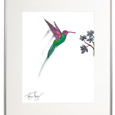 Hummingbirds 05a