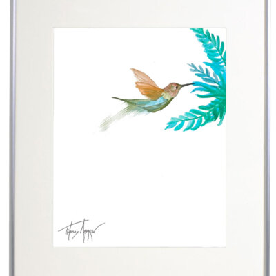 Hummingbirds 06a