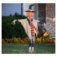 Downloaded from Shopify for use with Vendor ID (163) and Product ID (8653006012732).