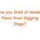 Are you tired of Muddy Paws from Digging Dogs