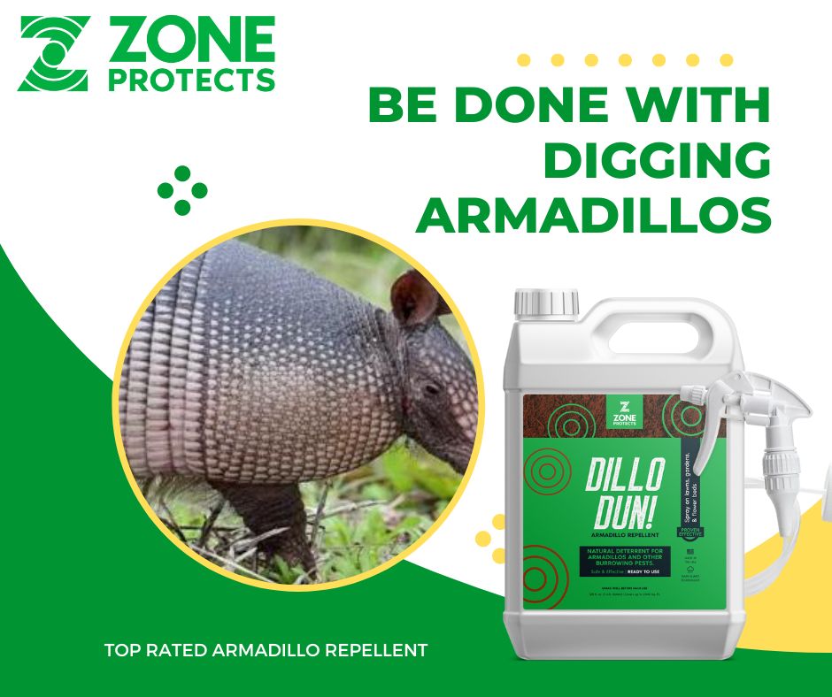 Armadillo Repellent Dillo Dun Front Porch Alabama