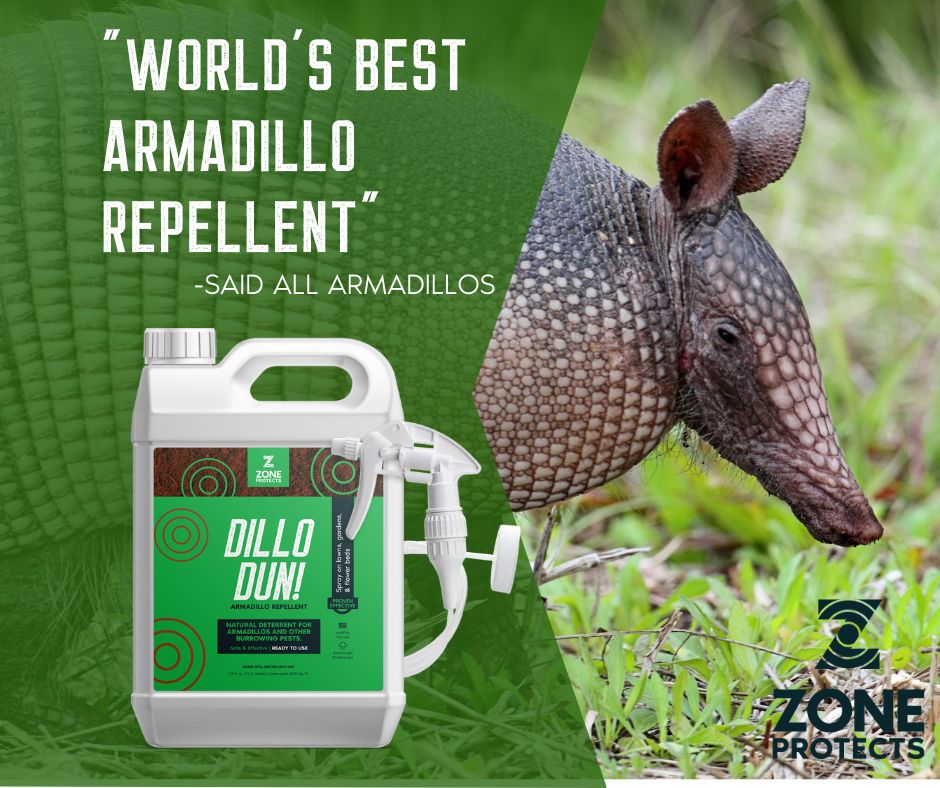 Armadillo Repellent Dillo Dun Front Porch Alabama