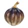 Downloaded from Shopify for use with Vendor ID (163) and Product ID (4158863016014).
