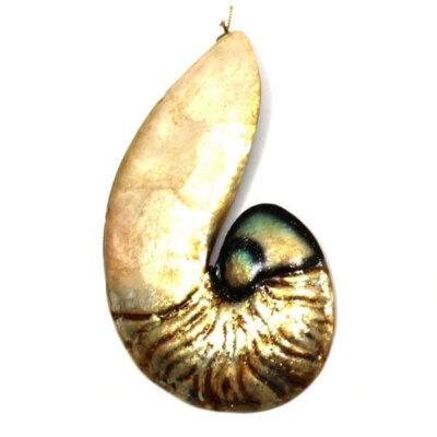 Shell Ornament