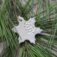 Downloaded from Shopify for use with Vendor ID (15) and Product ID (7550260150522).
