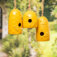 Downloaded from Shopify for use with Vendor ID (163) and Product ID (8034390671676).